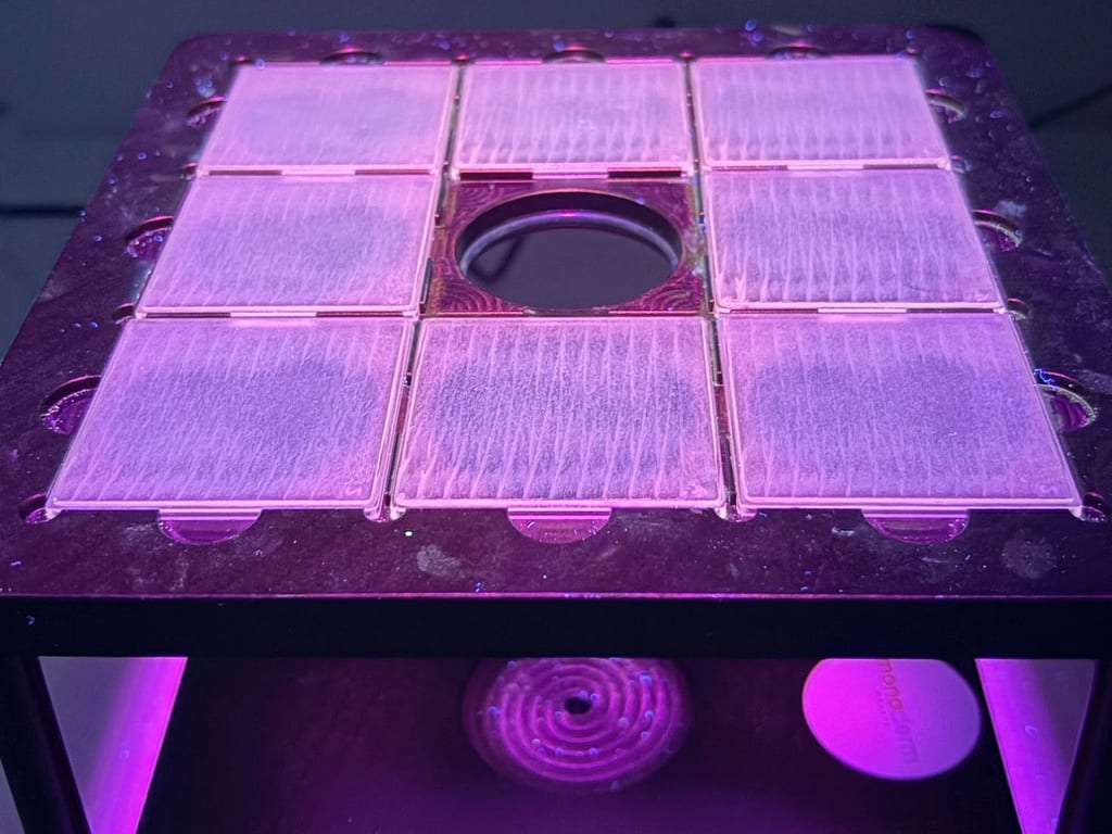 PMMA plates with product under UV radiation